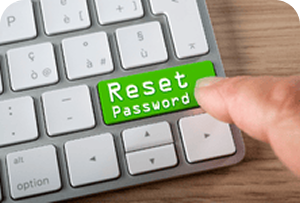 Reset Password
